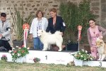 Best in Show Baby Chaptelat-2 2025